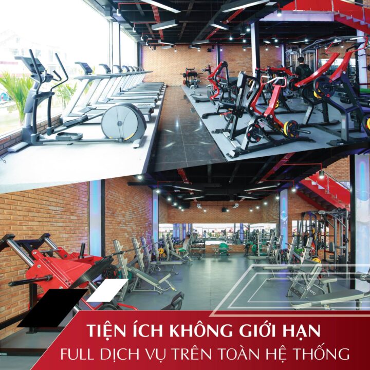 Top 5 địa chỉ tập gym uy tín và chất lượng ở Quảng Bình