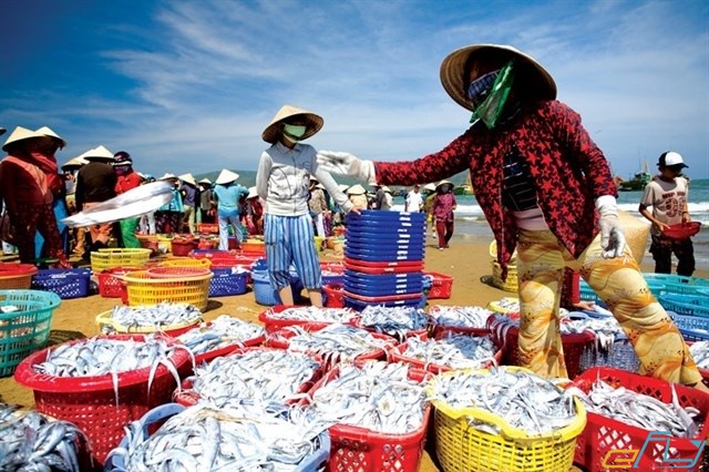 Top 8 chợ hải sản ngon ở Đà Nẵng không thể bỏ qua