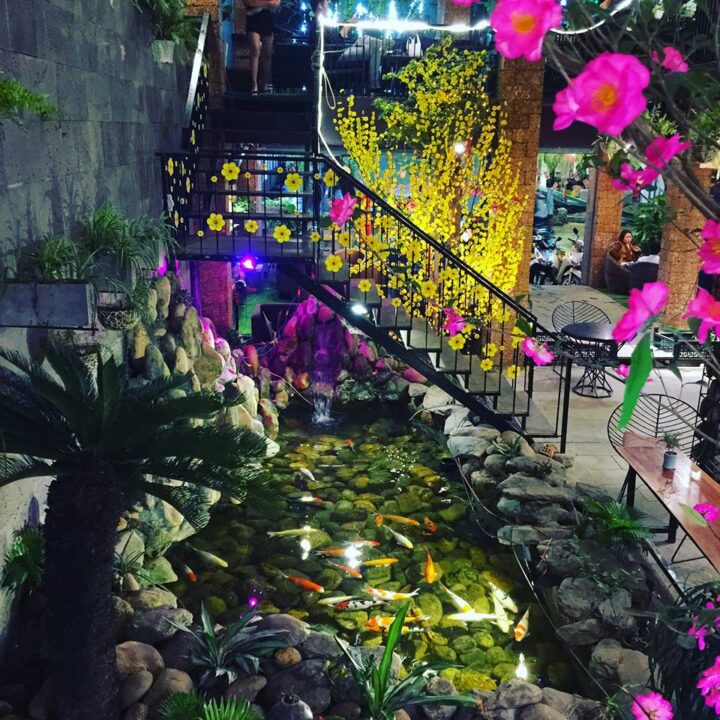 cafe cá Koi ở Đà Nẵng