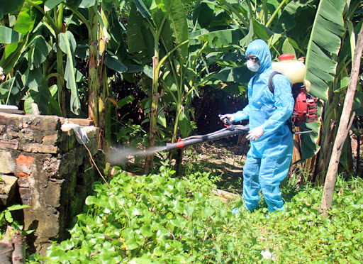 Lưu ngay Top 8 dịch vụ diệt côn trùng tại Đà Nẵng hiệu quả nhất