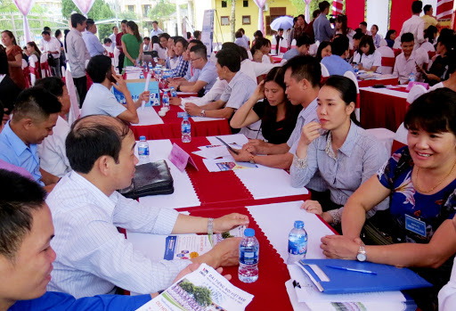 Top 5 trung tâm giới thiệu việc làm ở Nha Trang uy tín nhất
