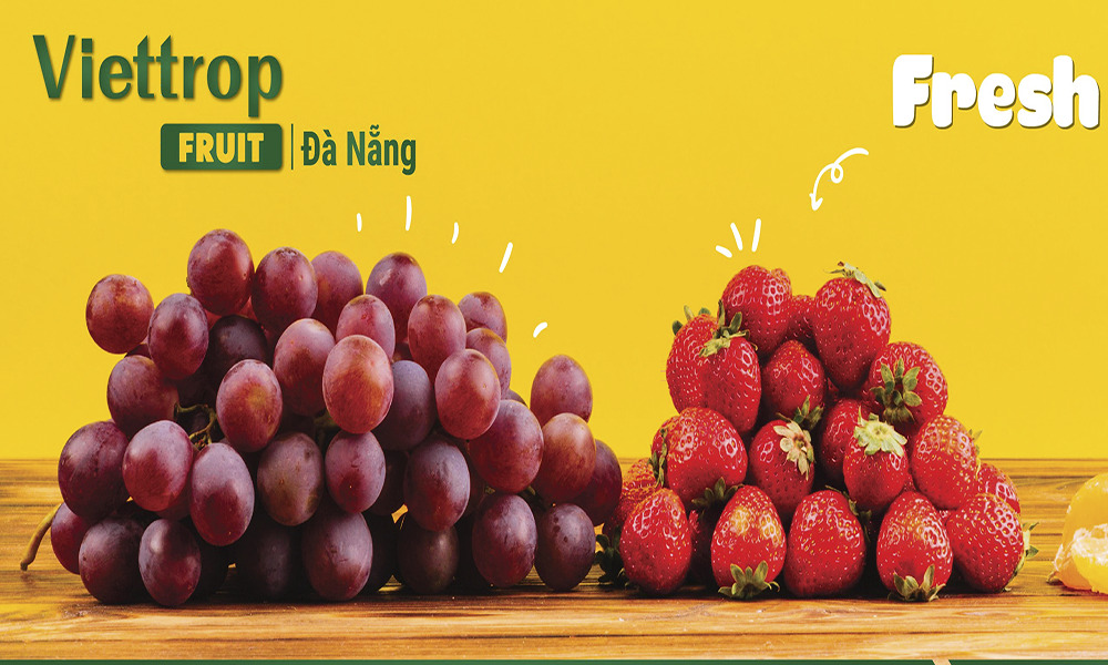 Thích mê Top 7 cửa hàng trái cây nhập khẩu Đà Nẵng siêu hot