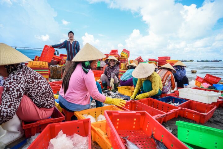 Ghé ngay Top 7 chợ hải sản Vũng Tàu 'đông nghìn nghịt'