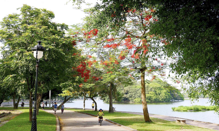 Tận hưởng thiên nhiên với Top 7 công viên ở Hà Nội xanh đẹp