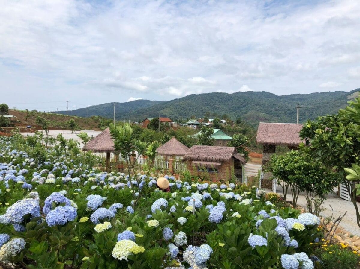 khu du lịch sinh thái kết hợp mô hình farmstay Ê Ban Farm