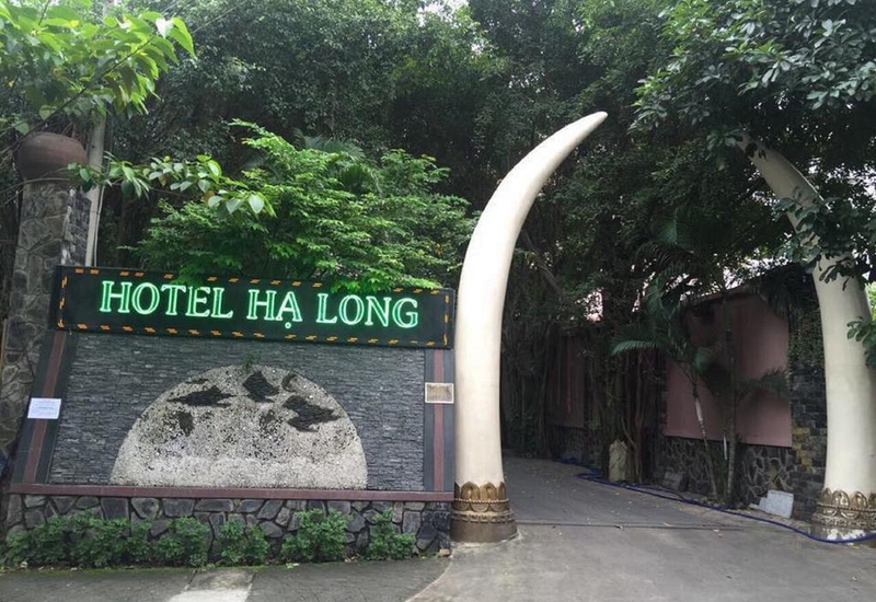 Khách sạn Hạ Long Thủ Đức